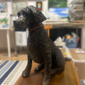 <i>Good Girl</i> 2022. Bronze. 525mm h x 600mm x210mm
