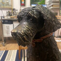 <i>Good Girl</i> 2022. Bronze. 525mm h x 600mm x210mm