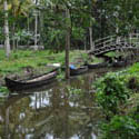 <i>Untitled #7</i> Kumarakom, Kerala India 2015