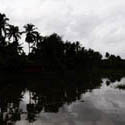 <i>Untitled #8</i> Kumarakom, Kerala India 2015