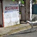 <i>Untitled #2</i> Cochin, Kerala India 2015