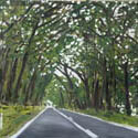 Road near Meeniyan and Stony Creek, Oil on Board, 48 x 61, 2019 