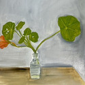 <i>Nasturtium in glass bottle</i>  2023 - 2025. Oil on board framed in oak
60 x 43 cm