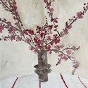 <i>Blossom in glass vase</i> 2023 - 2025. Oil on board framed in oak
36 x 23 cm