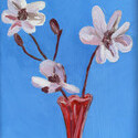 <i>Magnolia in red vase 2024</i>. Oil on board framed in oak
32.5 x 24.5 cm