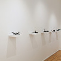<i>Caroline Kennedy, 
Stolen Flowers installation</i><br>
Brunswick Street Gallery<br>
Feb 13- March 2 2025